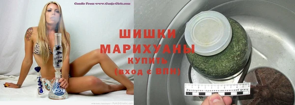 mdpv Богородицк