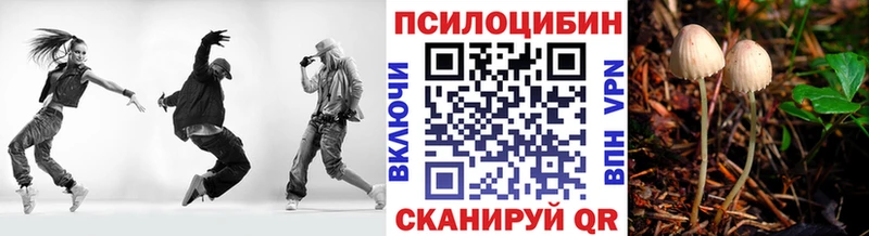 Галлюциногенные грибы GOLDEN TEACHER  даркнет сайт  Мончегорск 